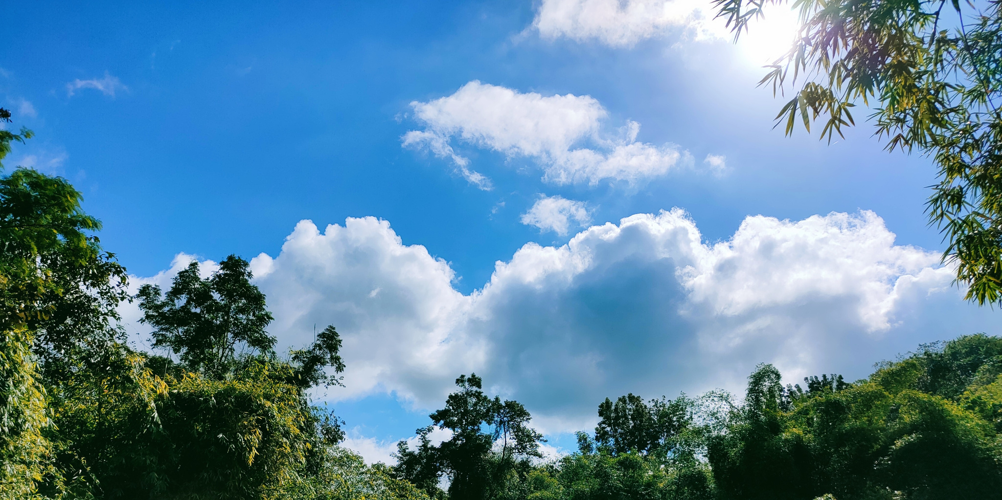 nature